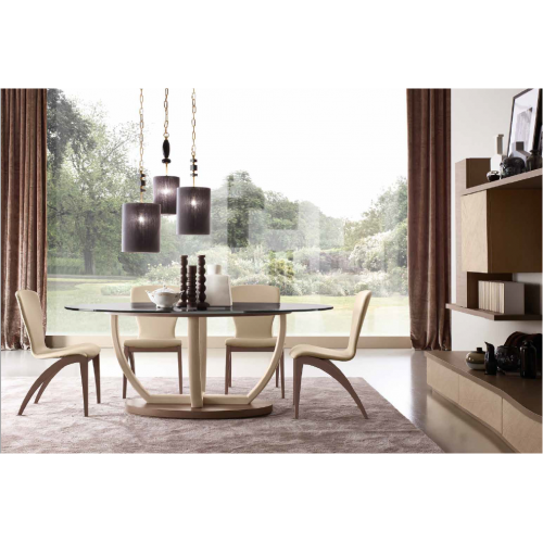 Modern  dining chair Modern  dining chair