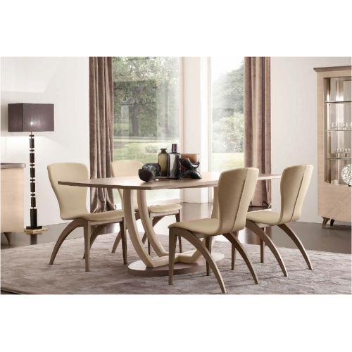 Modern  dining chair Modern  dining chair